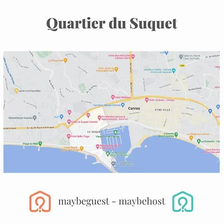 A075-superbe Studio Avec Terrasse Au Centre Historique